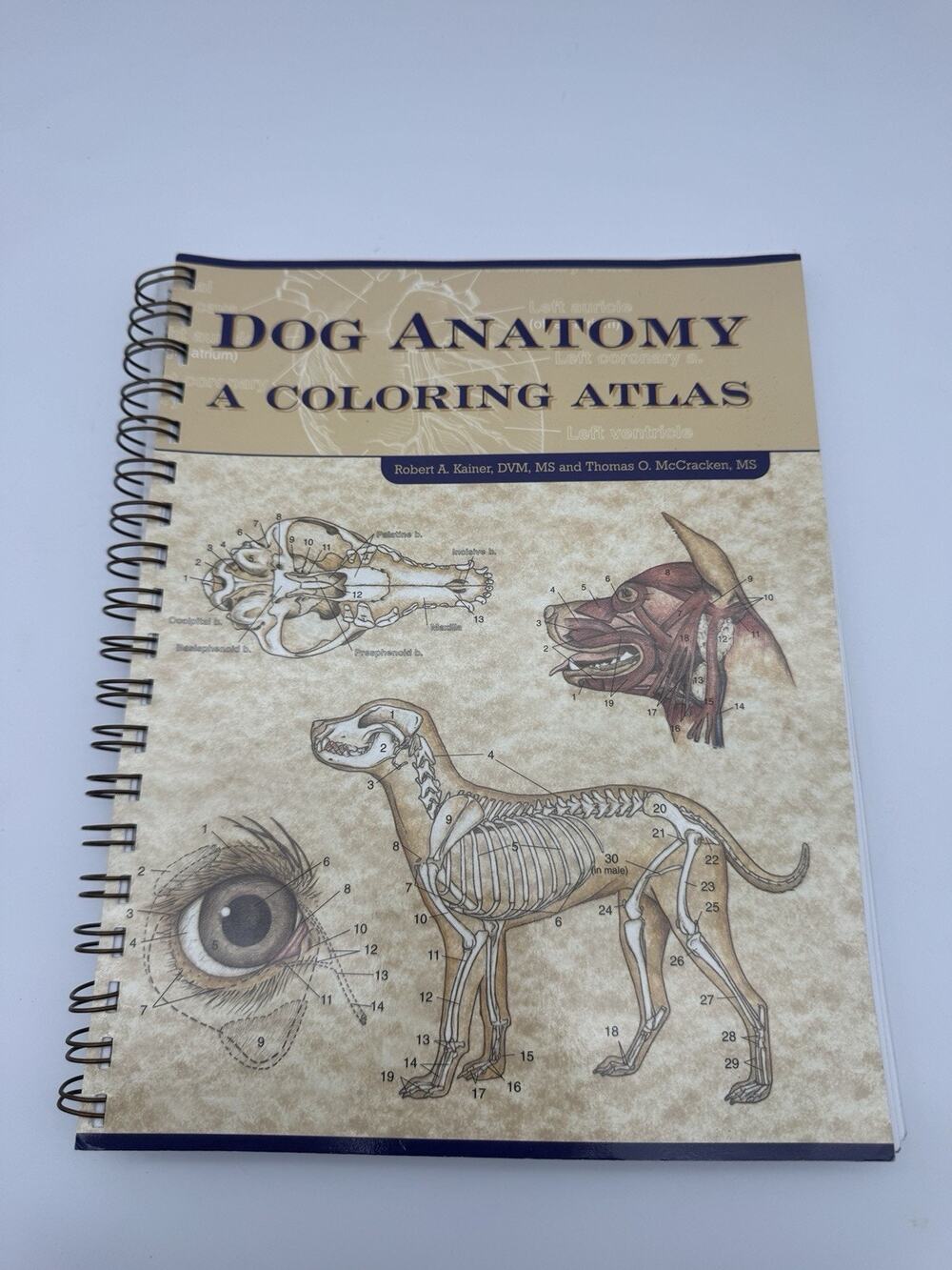 Dog Anatomy: A Coloring Atlas by Robert A. Kainer and Thomas O. McCracken